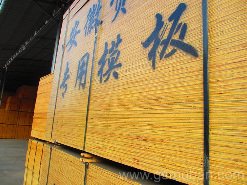 建筑木模板多少一張？價格貴不貴